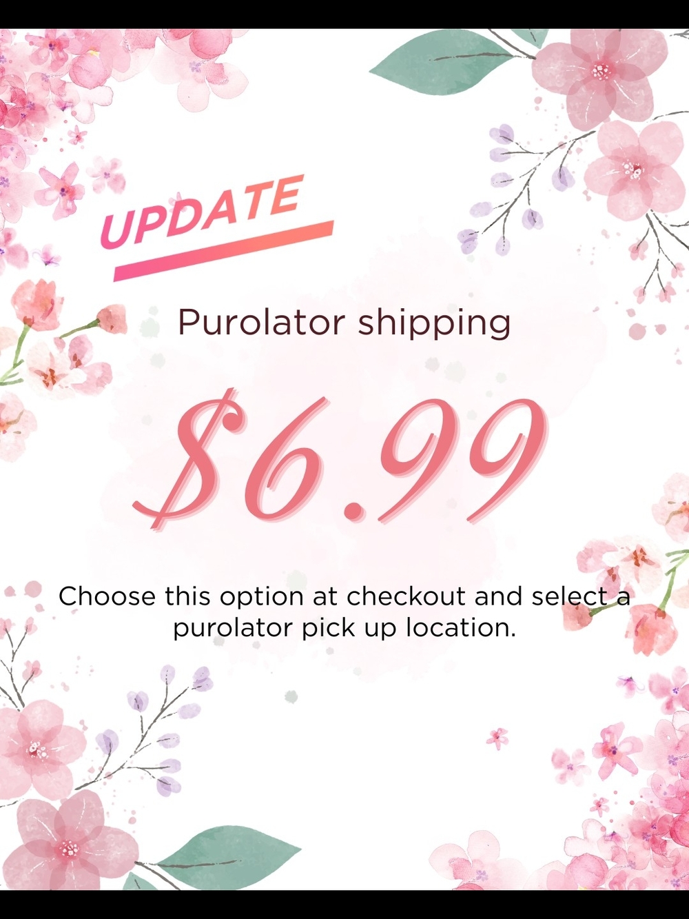 Ongoing $6.99 Purolator Shipping